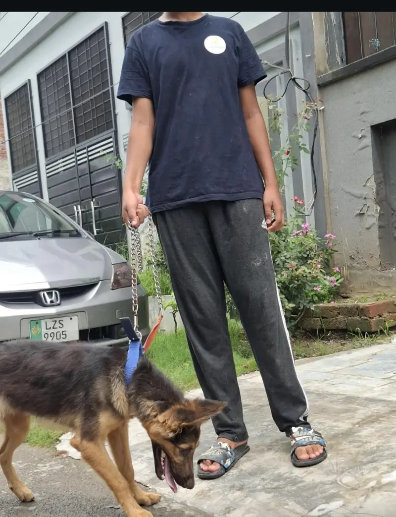 healthy and playfull