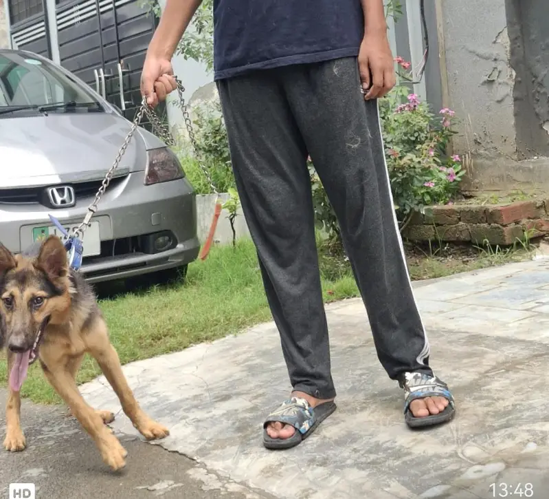 healthy and playfull — photo 6