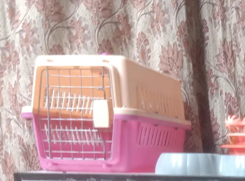 travelling cage condition 10 / 10 — photo 2