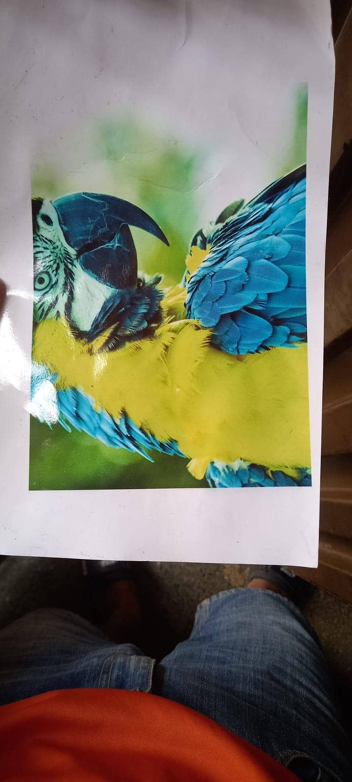 epson 2