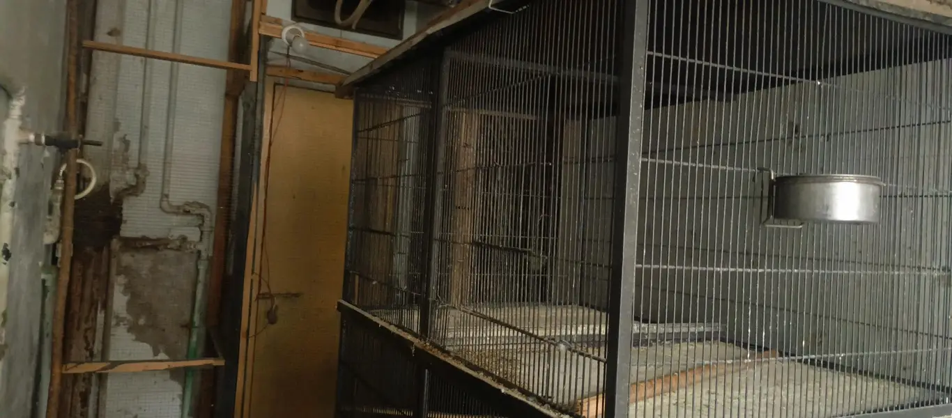 Spot welding cage — photo 5
