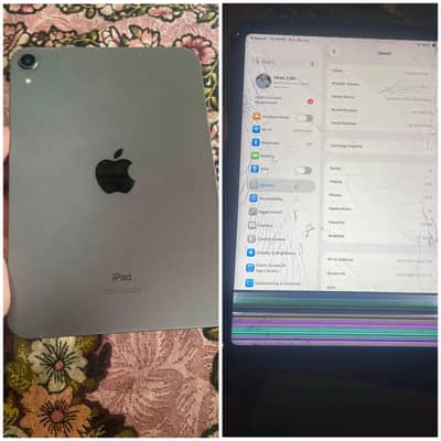 Ipad Mini 6 Pannel Break 64GB