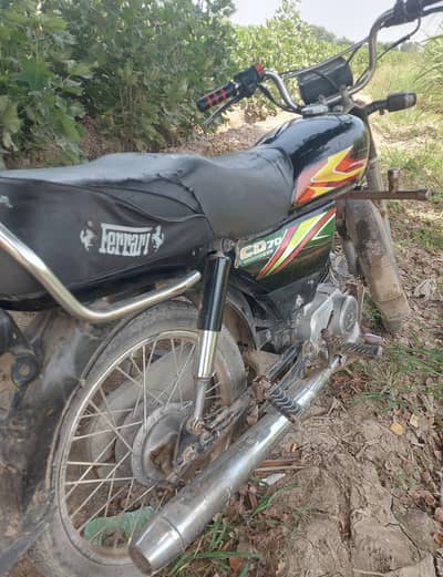 Honda 2019 Model