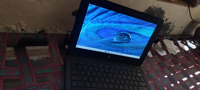 chrome book