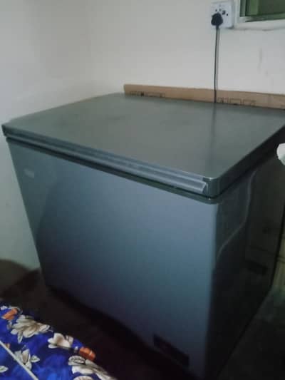 signal door freezer for sell