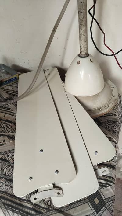 Ceiling fan