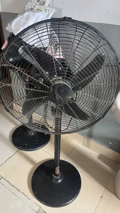 Khurshid Ac Dc fans