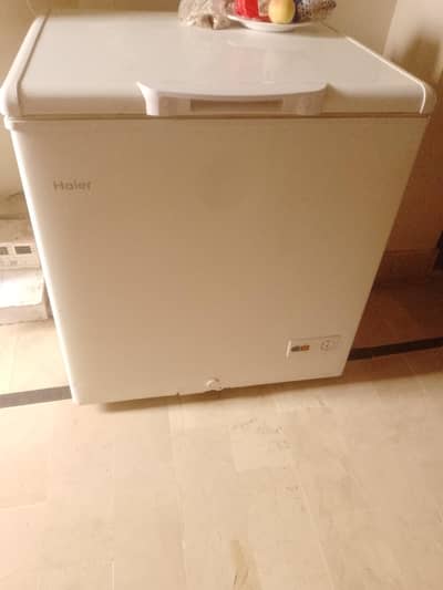 Haier single door freezer. 03132820019