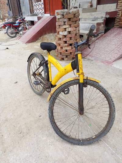 “Well-Maintained Bicycle for Sale – Great Deal!”