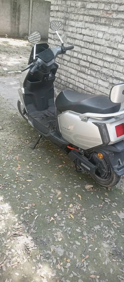 EVOO Scooty