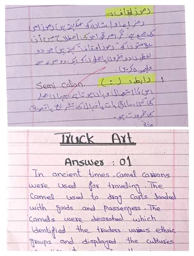 Assignment writing