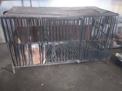 Cage+pinjra