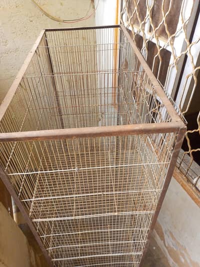 cage (pinjra)