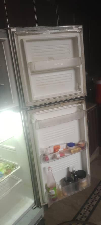 pel medium size fridge