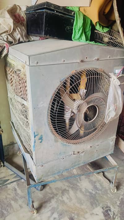 cooler 12 vold