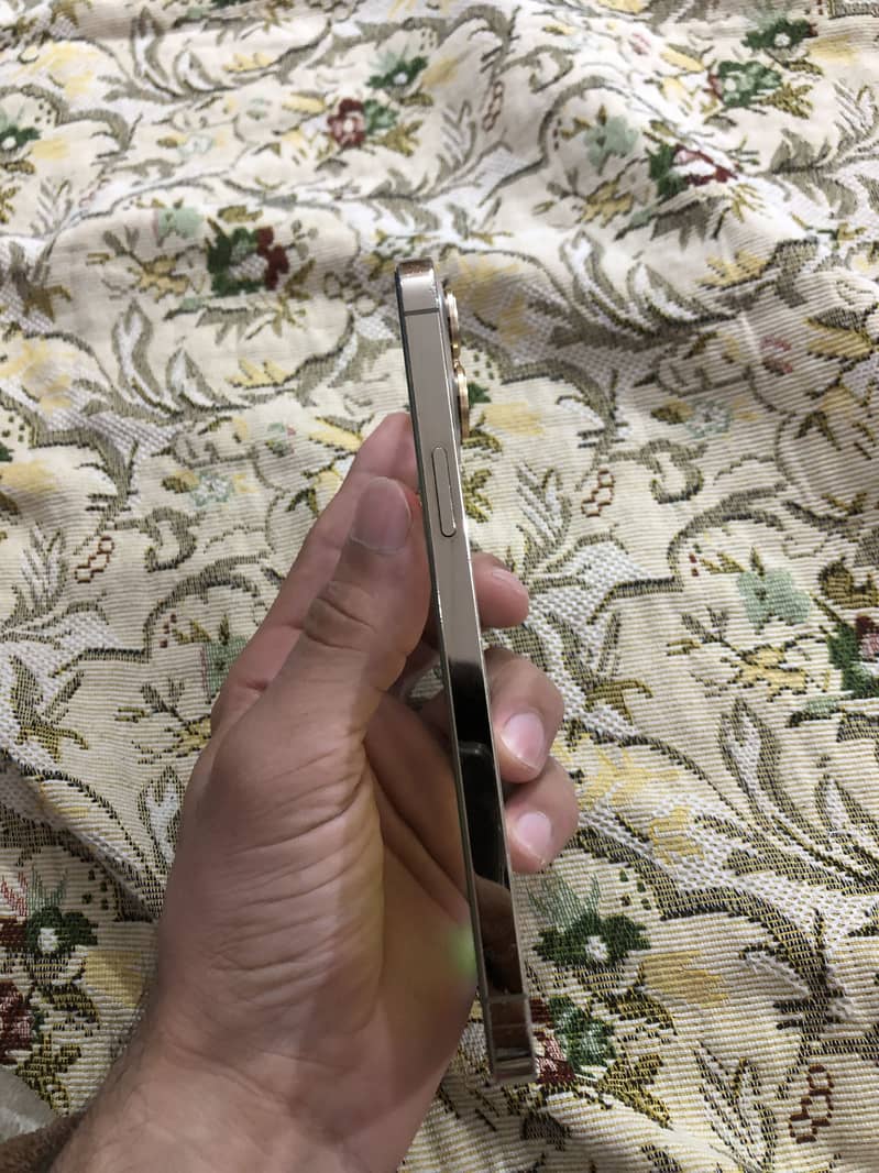 Apple iPhone 12 Pro Max 1