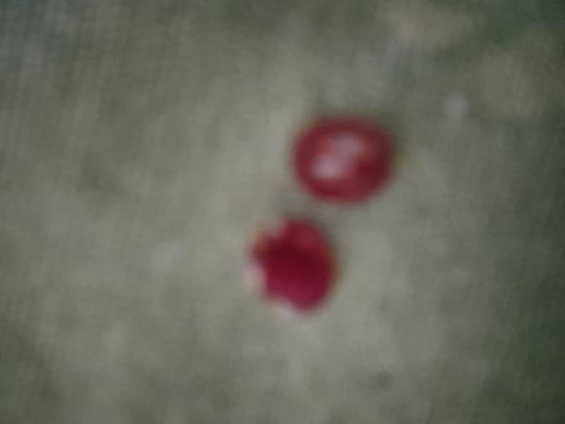 yaqoot 2