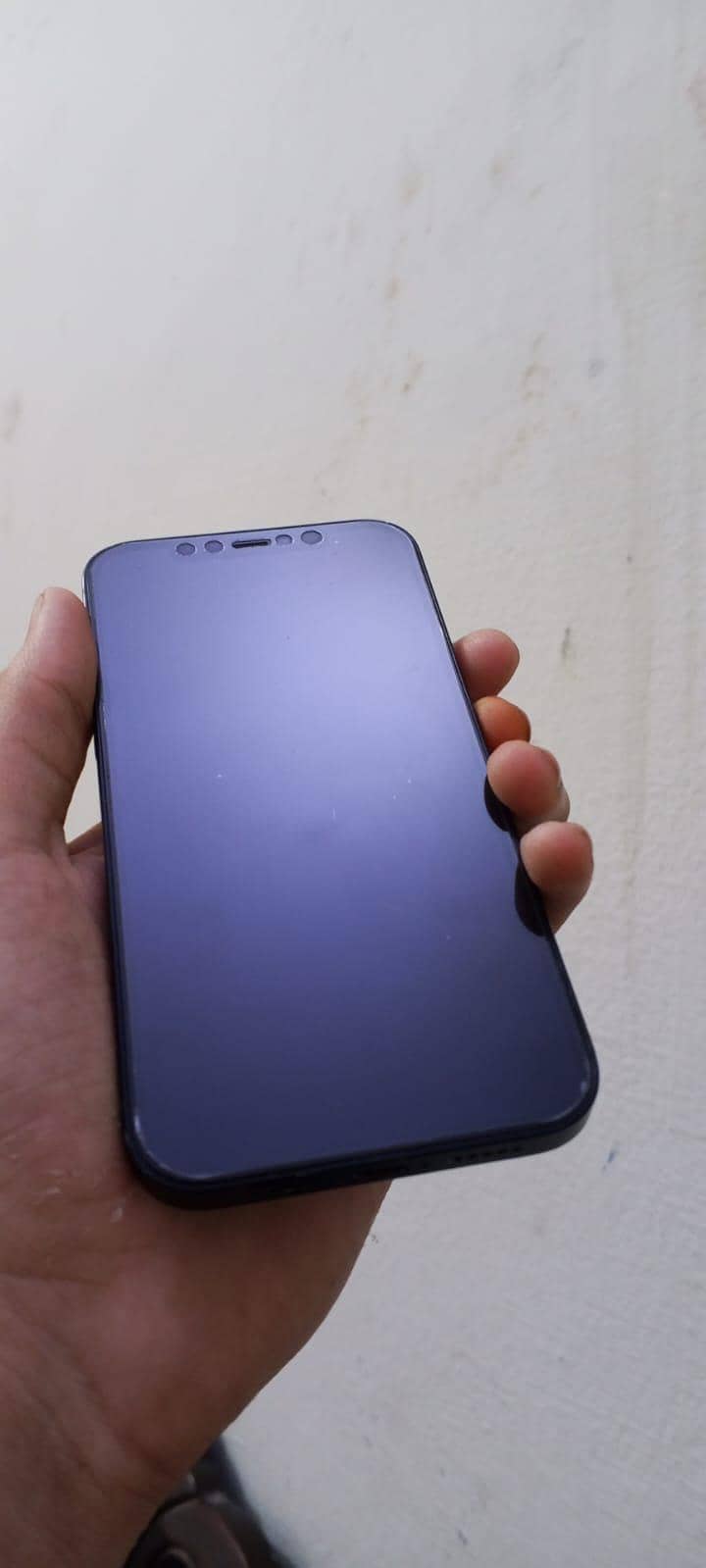 Apple iPhone 12 1