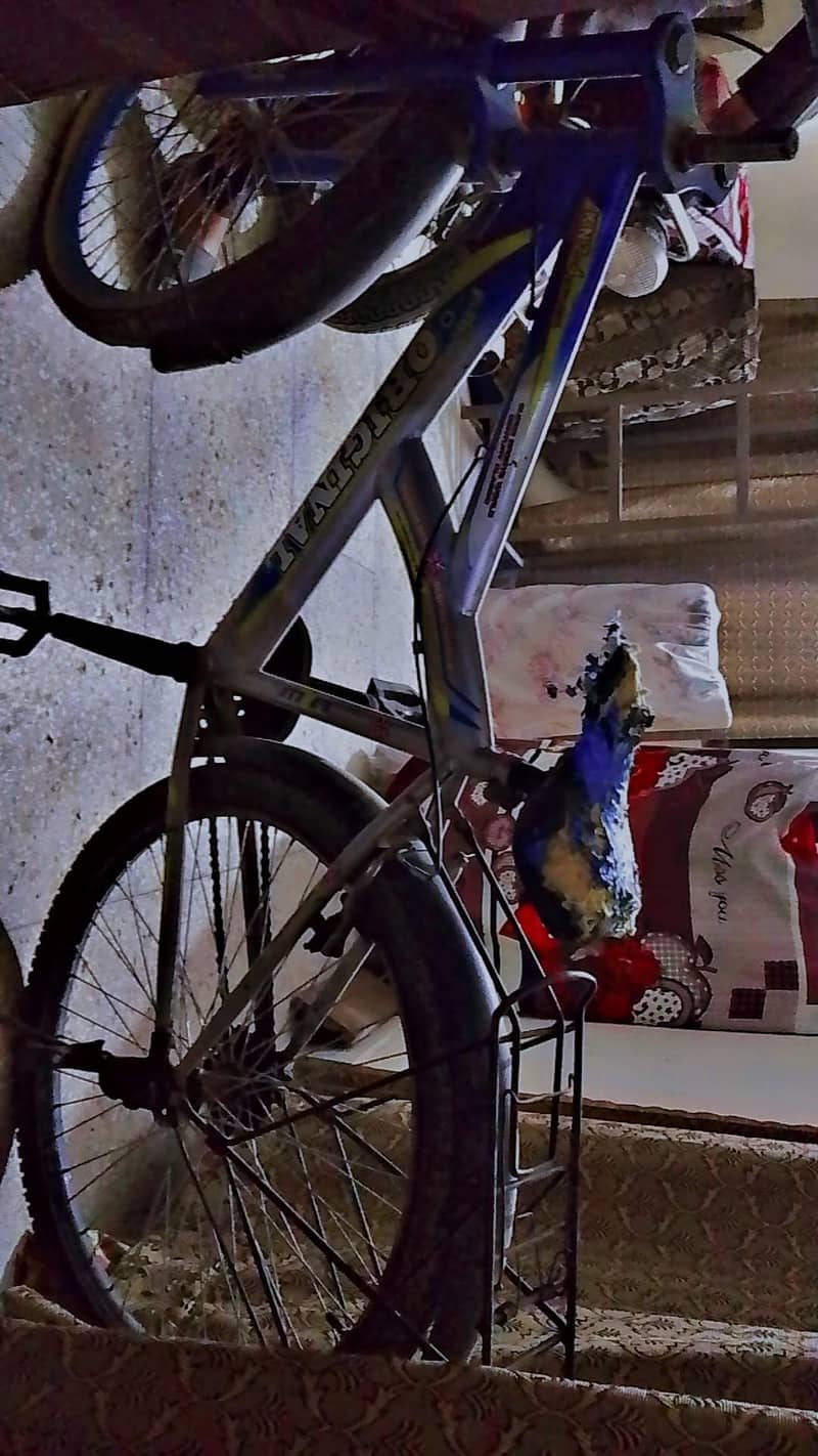 Used Cycle 1