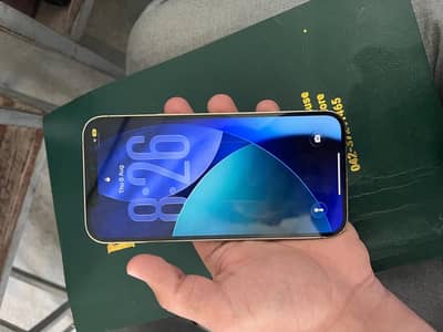 Apple iPhone 12 Pro Max