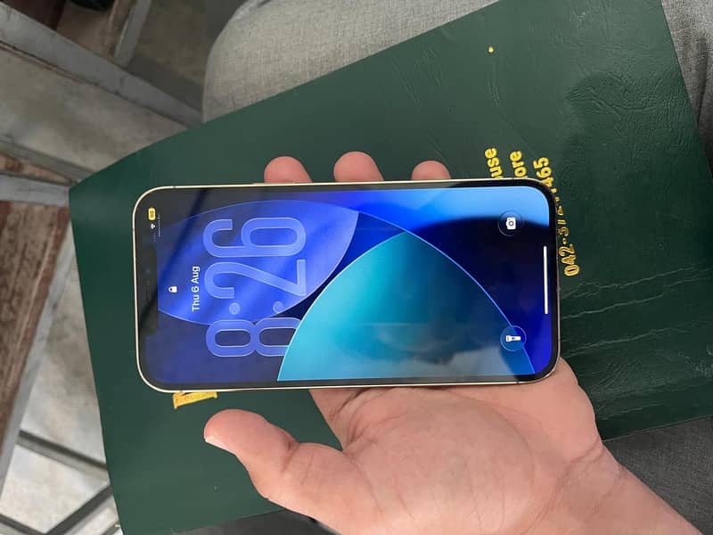 Apple iPhone 12 Pro Max 0