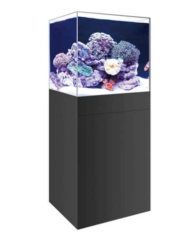 2×2 FEET MARINE TANK SETUP  FOR SALE !!