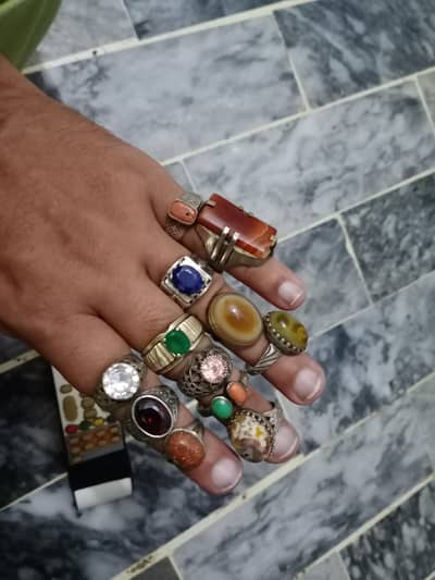 ring nelam
