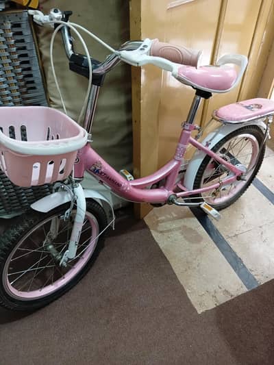 Lovely Pink Girl's Bike with Basket and Rear Seat for Sale