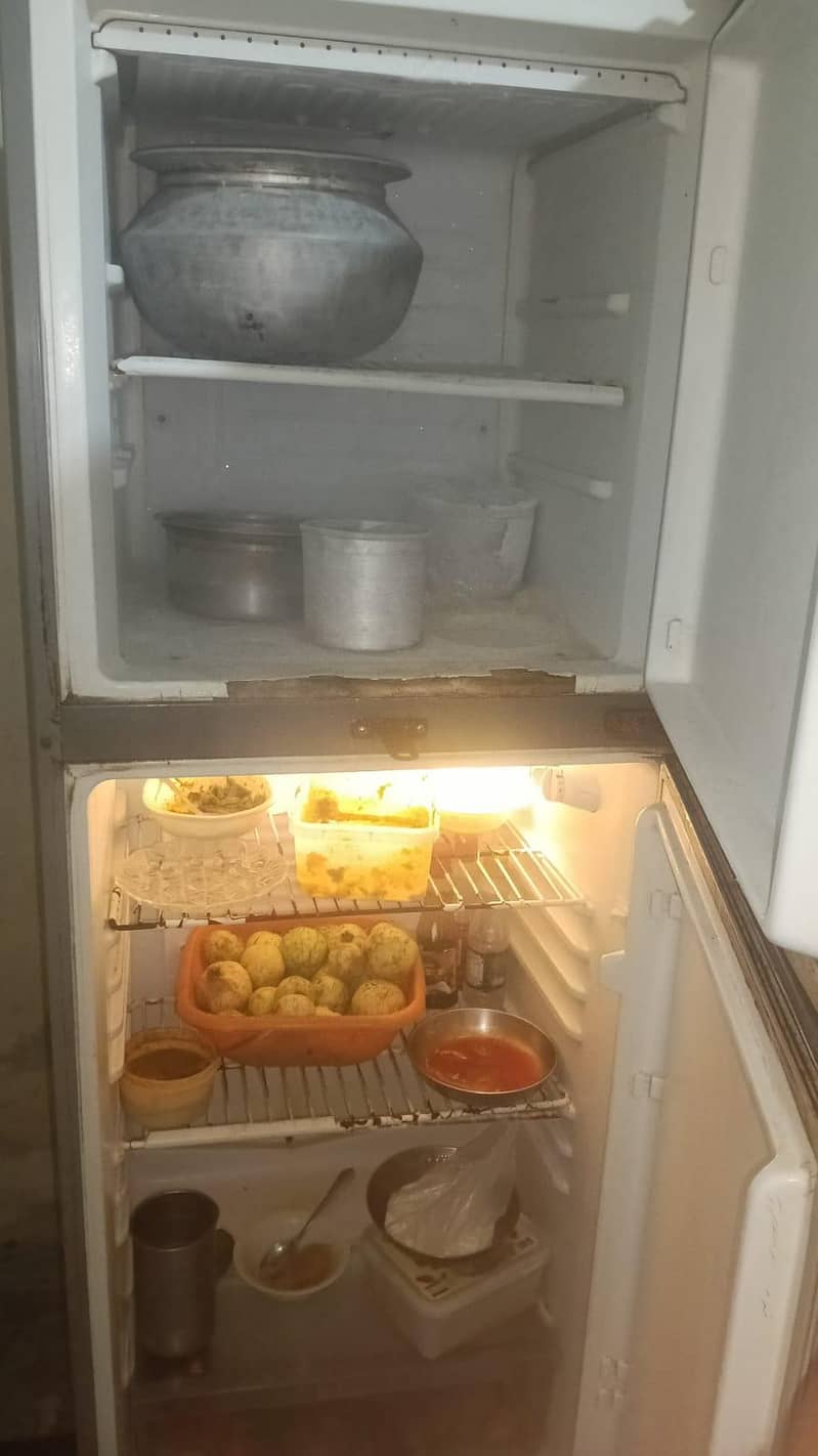medium size fridge 1
