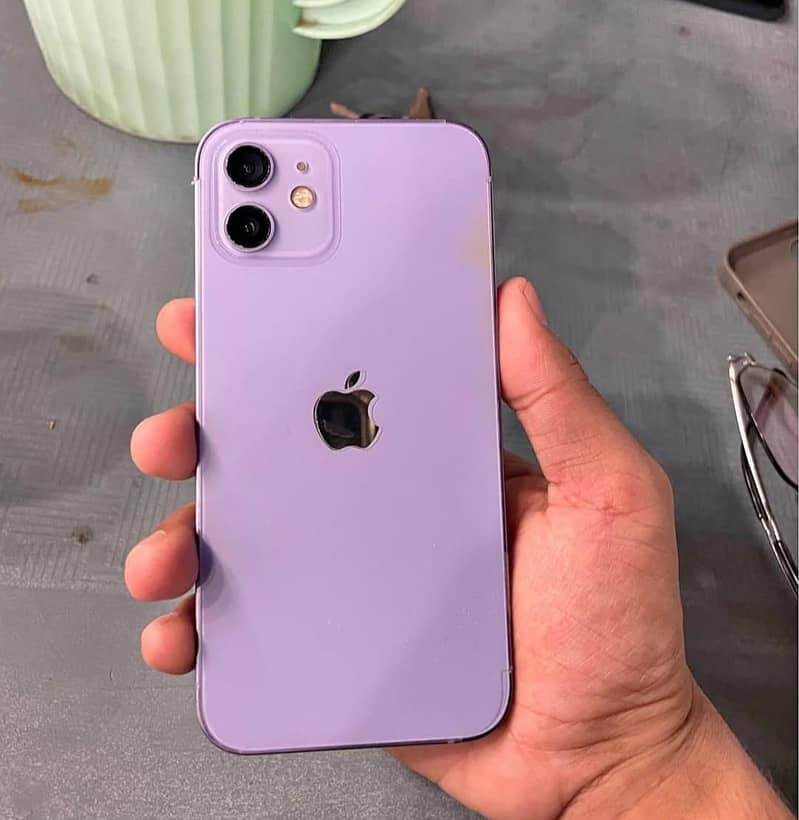 Apple iPhone 11 0