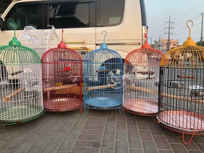 campani cages