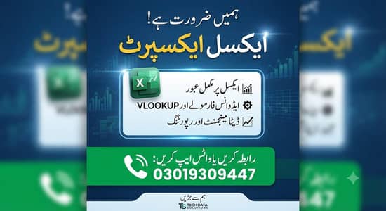 Excel Expert, Stock register handling job