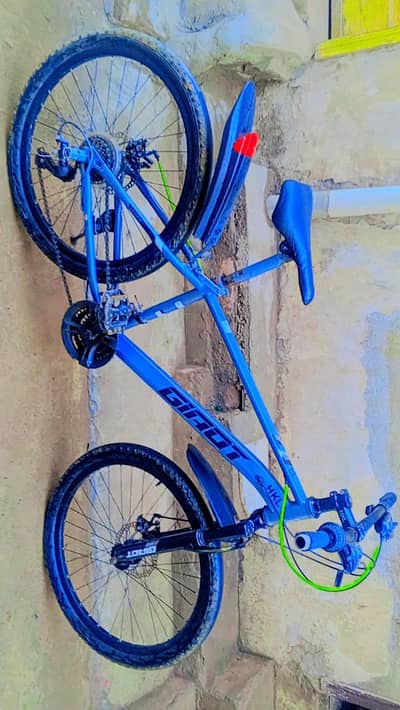 Giant bicycle for sale best condition  iA1condition