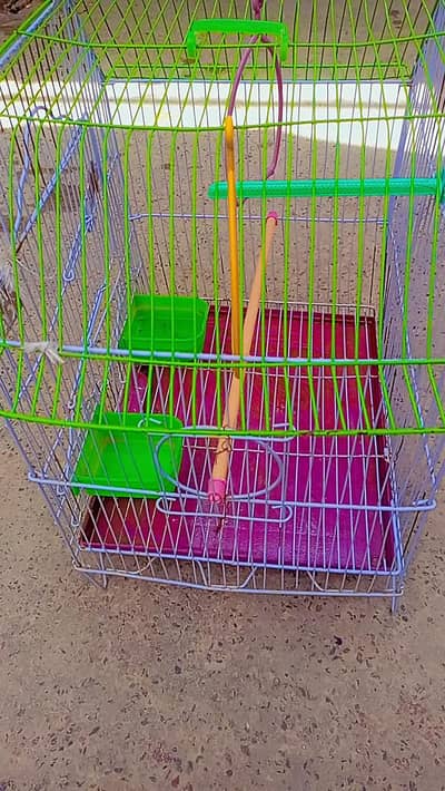 Birds cage