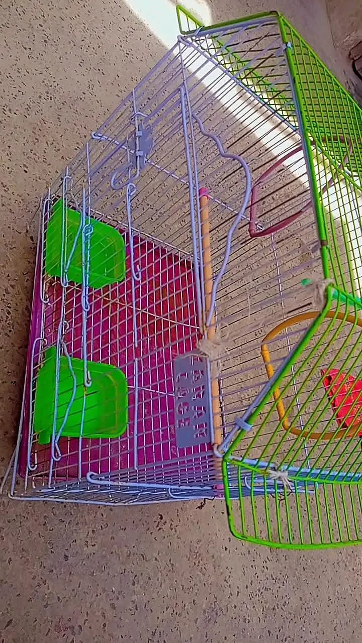 Birds cage — photo 3