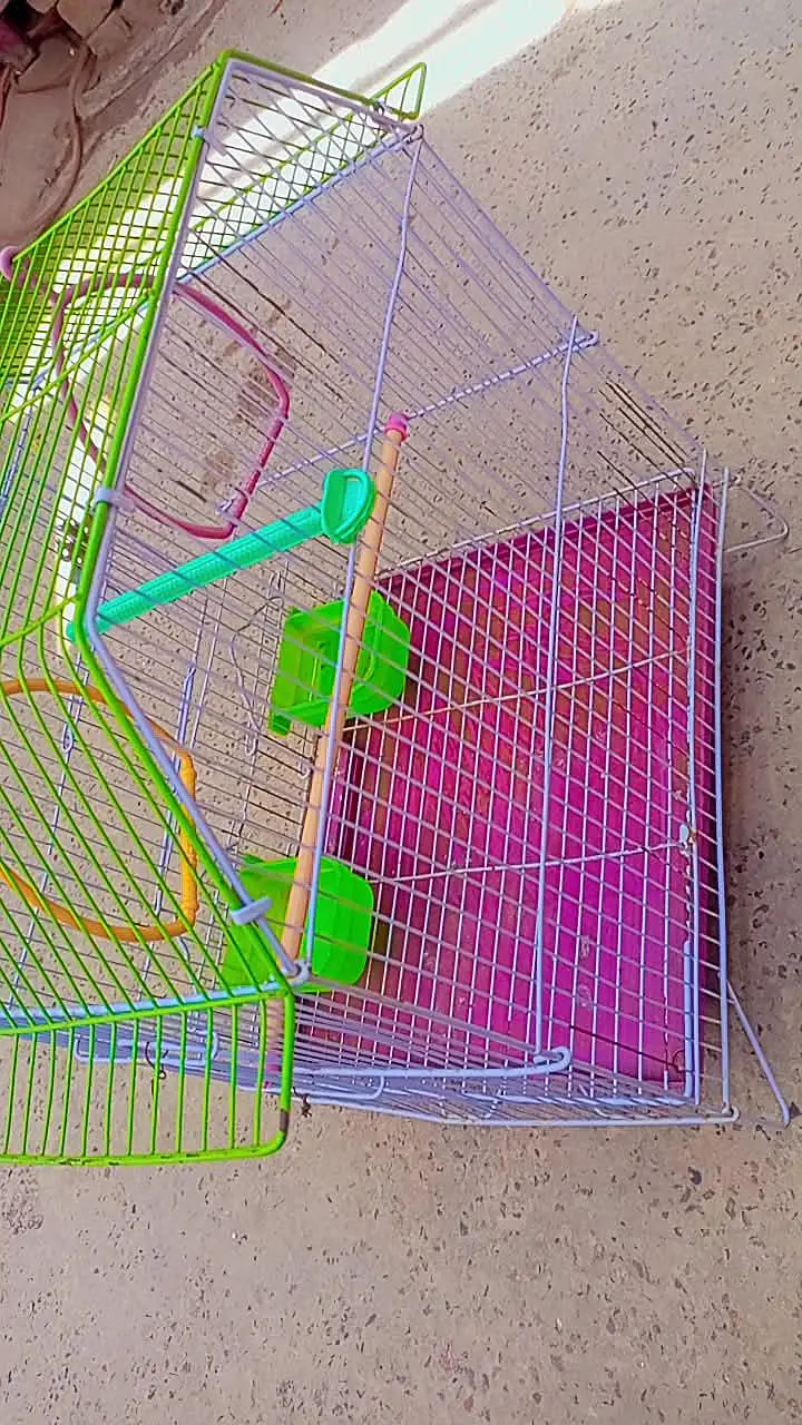 Birds cage — photo 4