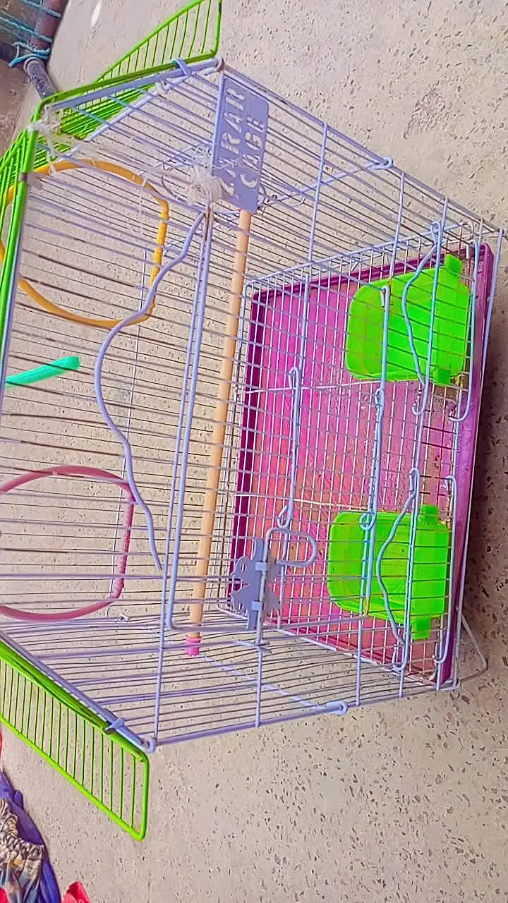 Birds cage — photo 5