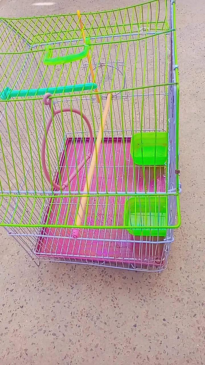 Birds cage — photo 6