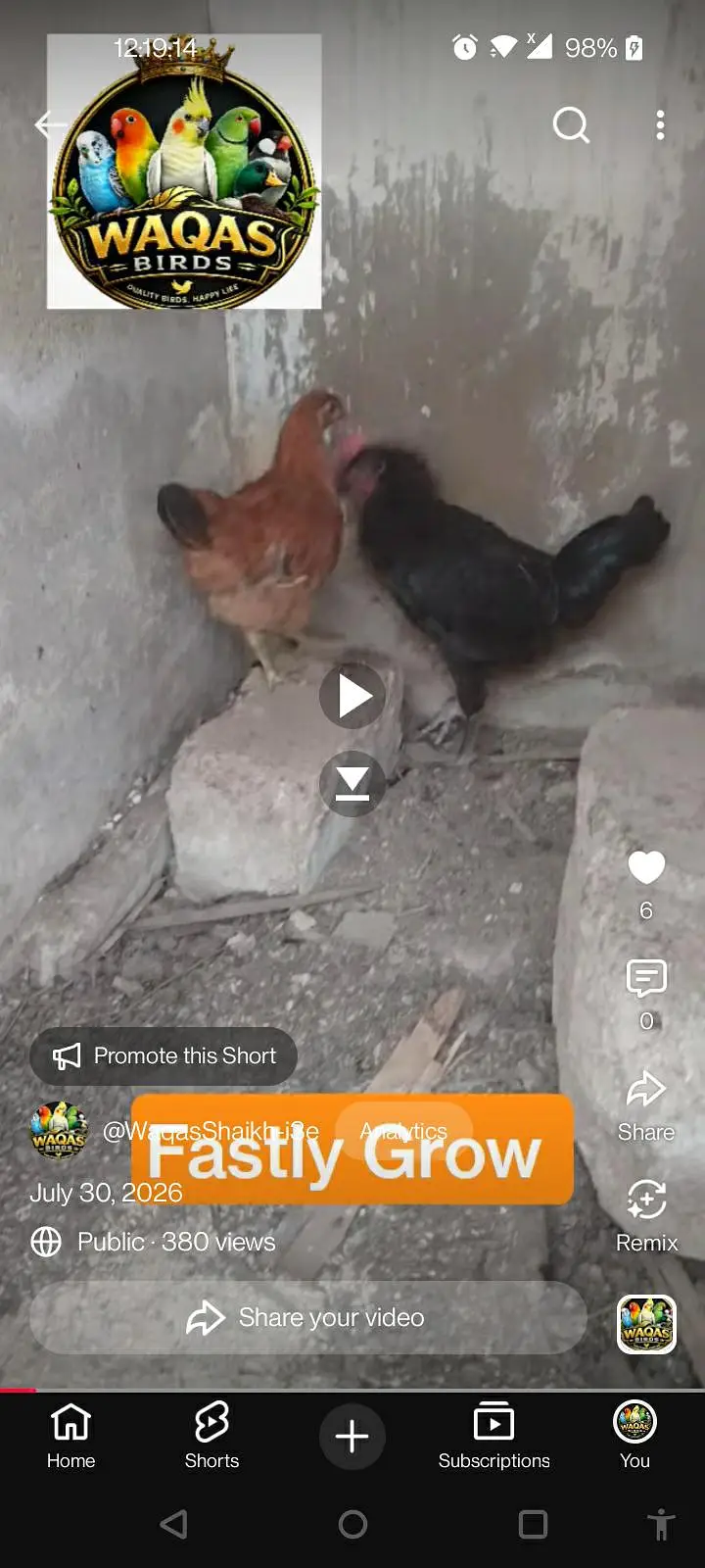 hello everyone I am waqas from Waqas Birds — photo 3