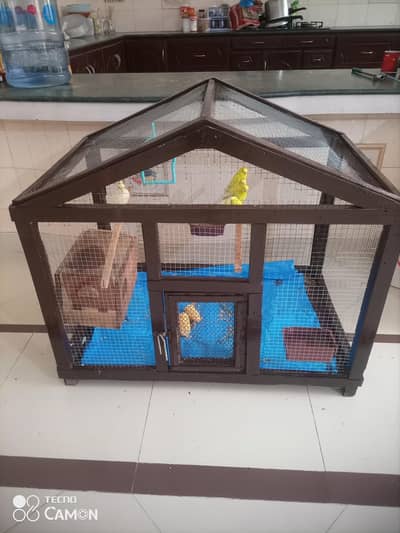 A beautiful cage pinjra with birds