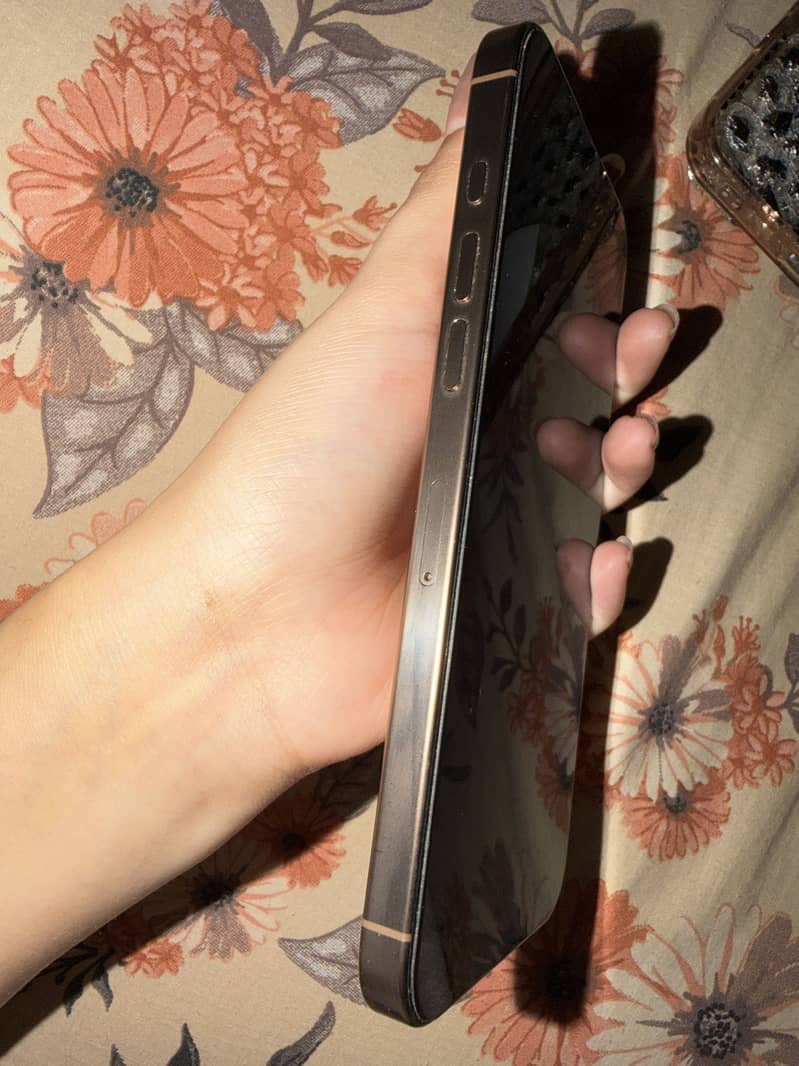 Apple iPhone 16 Pro Max 1