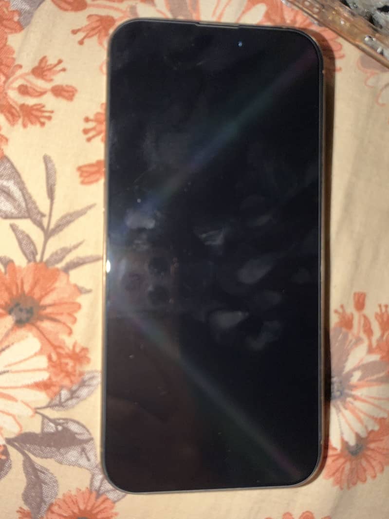 Apple iPhone 16 Pro Max 2