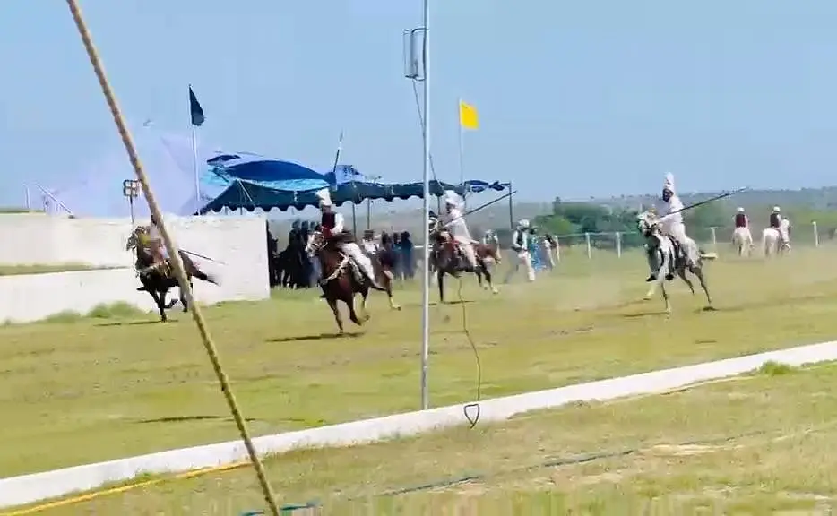 Desi english mix breed stallion | HOURSE | desi hourse | ghora — photo 8