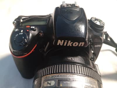 Niton D750