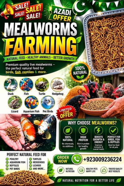 Mealworms for Birds, Fish and Poultry | mealworm | mealworms for sale
