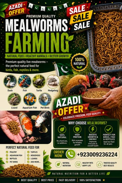 mealworms |dry mealworms | live mealworms | per Mealworms price : 1 Rs