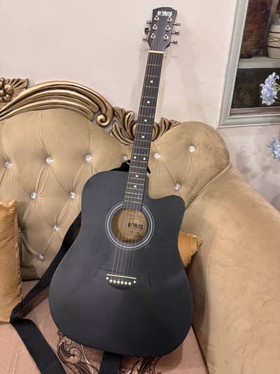 Hi Volts Professional Guitar 41 Inch