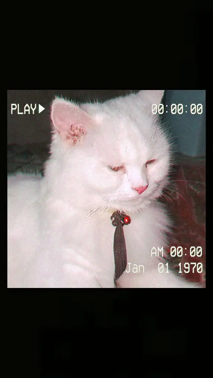 03111282309 salm peir — photo 8