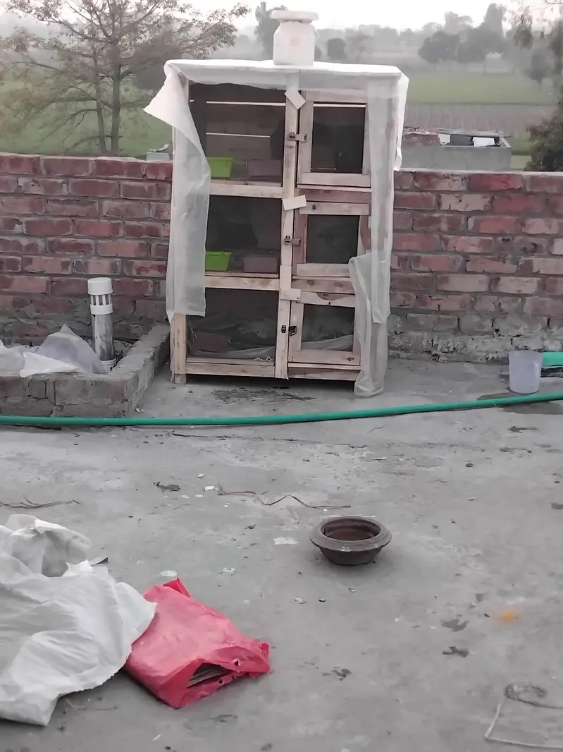 cage for sale location Lahore santer park — photo 6
