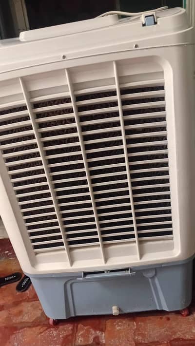 roome coller for sale 03174291207 whats app contact